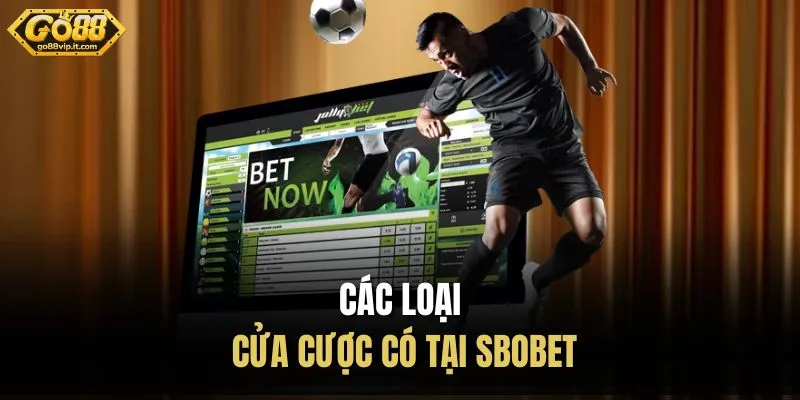 Các loại cửa cược có tại SBOBET