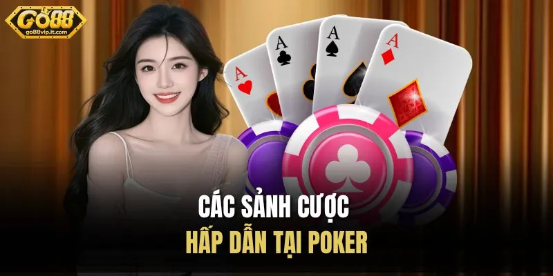 Các sảnh cược hấp dẫn tại Poker
