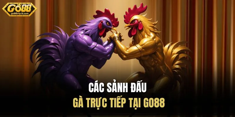 Các sảnh đấu gà trực tiếp tại Go88