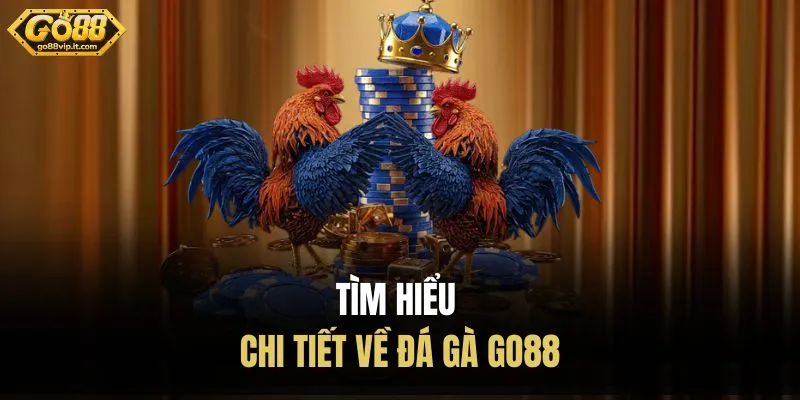 Tìm hiểu chi tiết về đá gà Go88